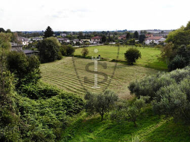 foto principale del terreno