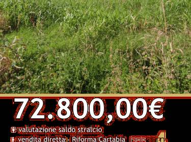 foto principale del terreno