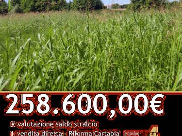 foto principale del terreno