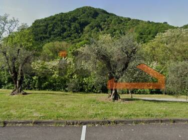 foto principale del terreno