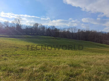 foto principale del terreno