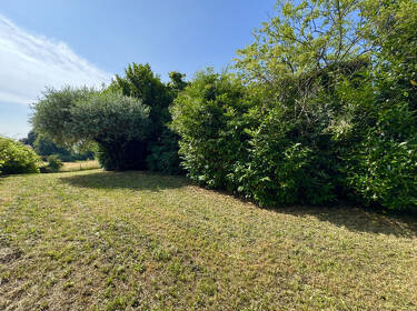 foto principale del terreno