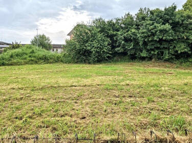 foto principale del terreno