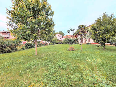 foto principale del terreno