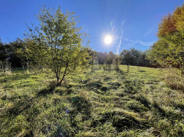 foto principale del terreno