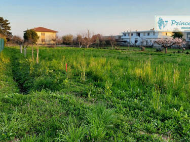 foto principale del terreno