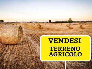 foto principale del terreno