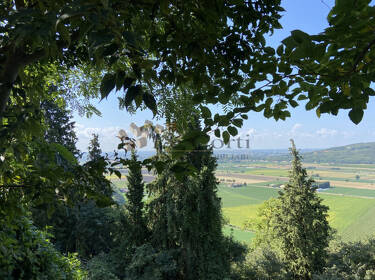 foto principale del terreno