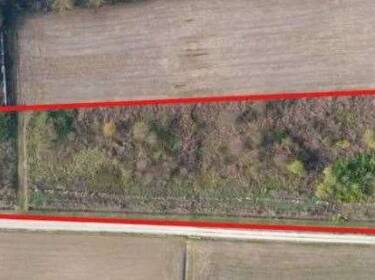 foto principale del terreno