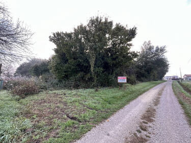 foto principale del terreno