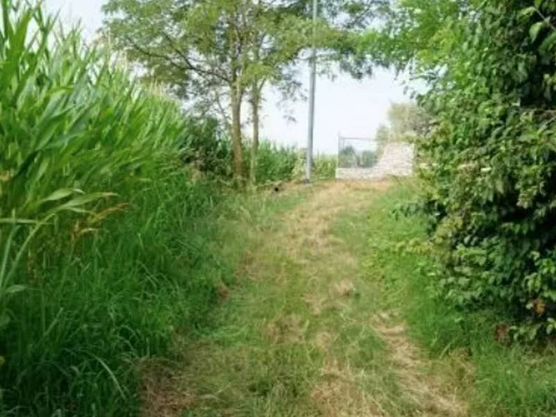 foto principale del terreno