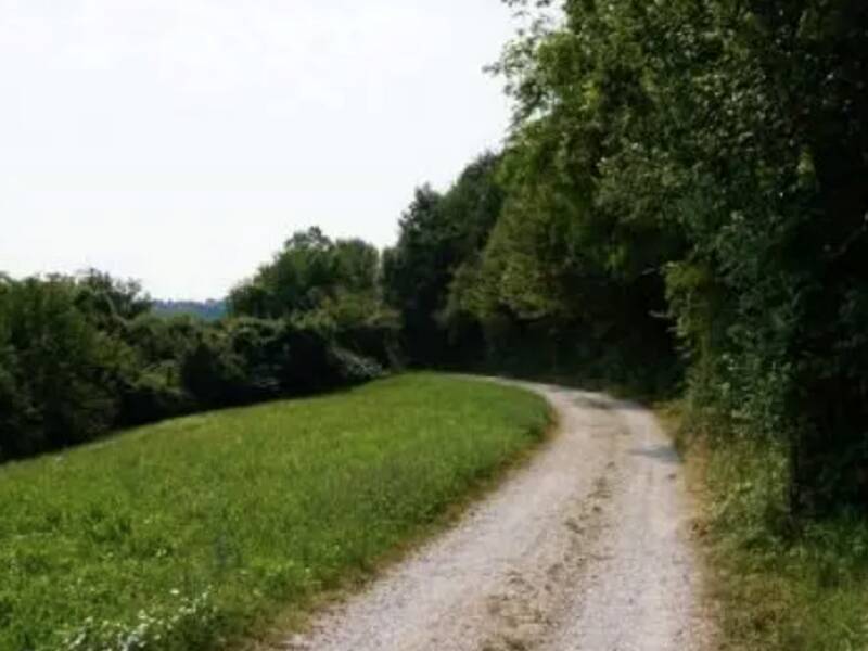 foto principale del terreno