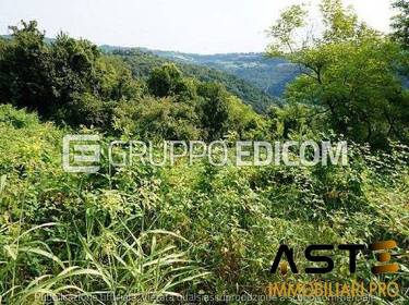 foto principale del terreno