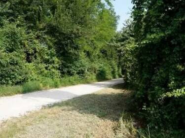 foto principale del terreno