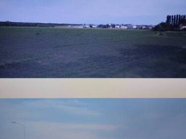 foto principale del terreno