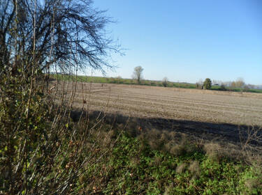 foto principale del terreno