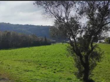 foto principale del terreno