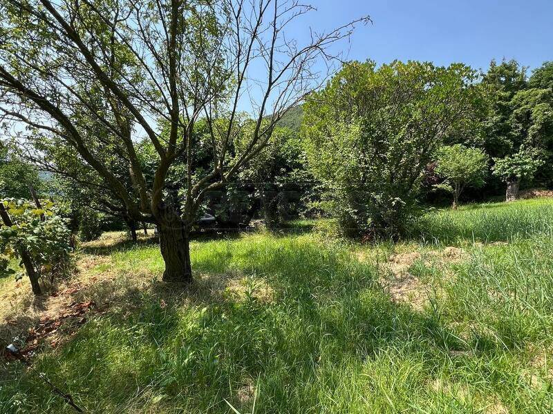 foto principale del terreno