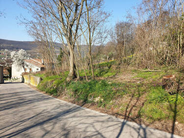 foto principale del terreno