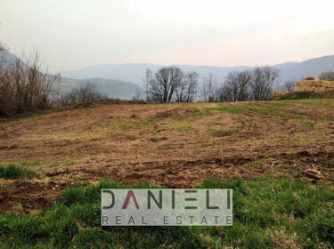 foto principale del terreno