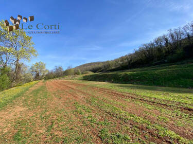 foto principale del terreno