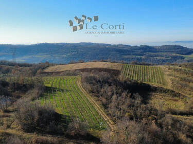 foto principale del terreno