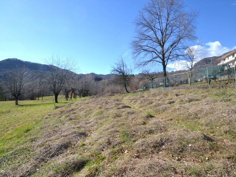 foto principale del terreno