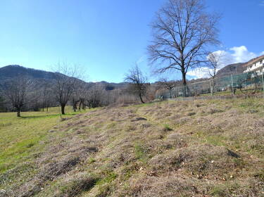 foto principale del terreno