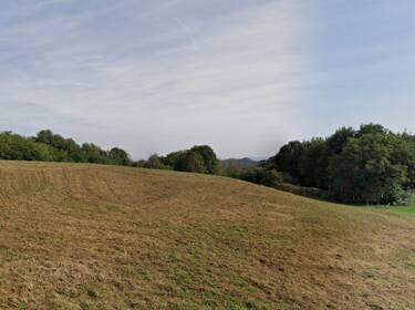 foto principale del terreno