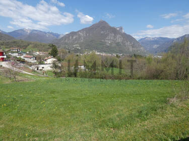 foto principale del terreno