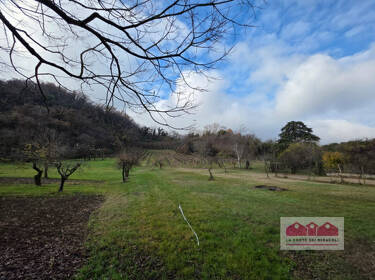 foto principale del terreno