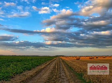 foto principale del terreno