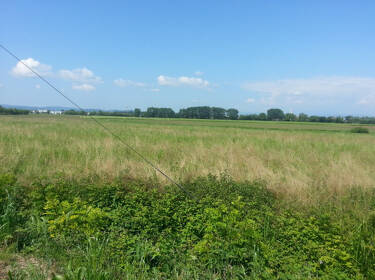 foto principale del terreno