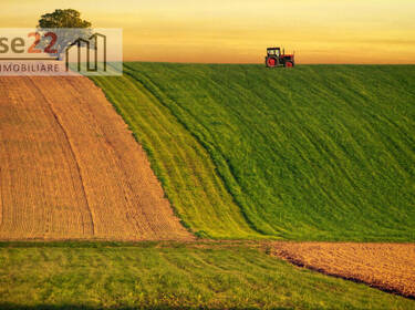foto principale del terreno