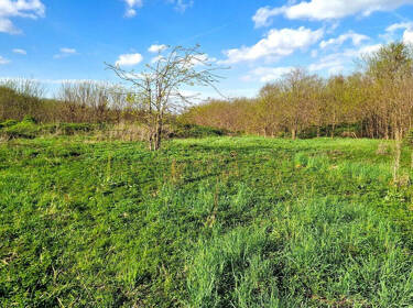 foto principale del terreno