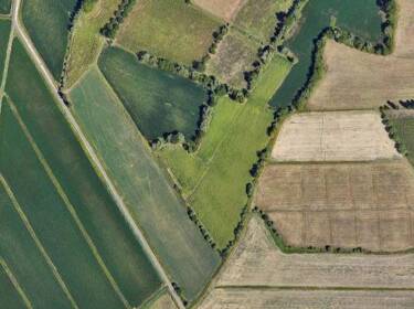 foto principale del terreno