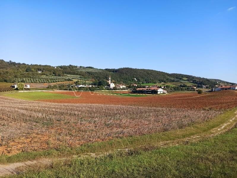 foto principale del terreno