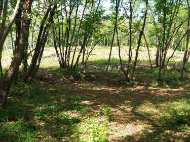 foto principale del terreno