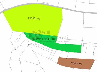 foto principale del terreno