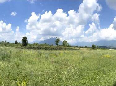 foto principale del terreno