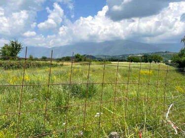 foto principale del terreno