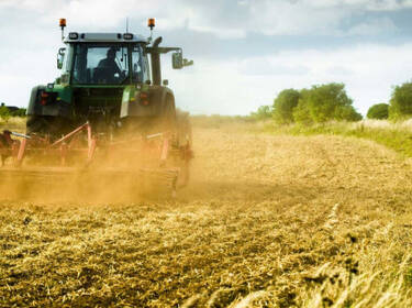 foto principale del terreno