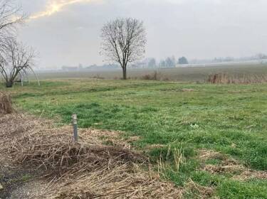 foto principale del terreno