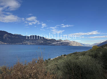 foto principale del terreno