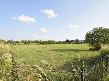 foto principale del terreno