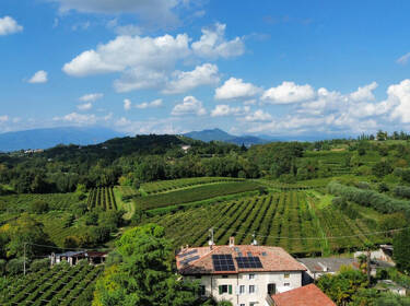 foto principale del terreno