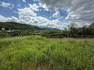 foto principale del terreno