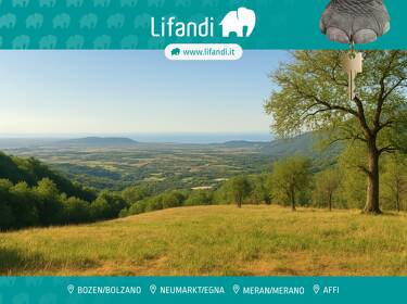 foto principale del terreno