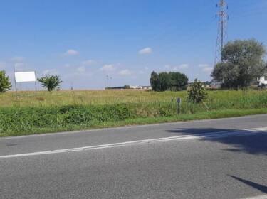 foto principale del terreno