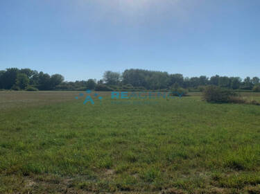 foto principale del terreno